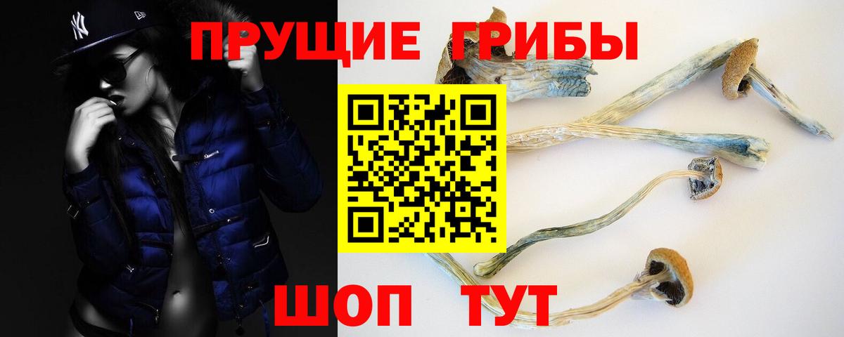 Ногинск  Псилоцибиновые грибы мухоморы  Галлюциногенные грибы мухоморы  Вход с VPN 